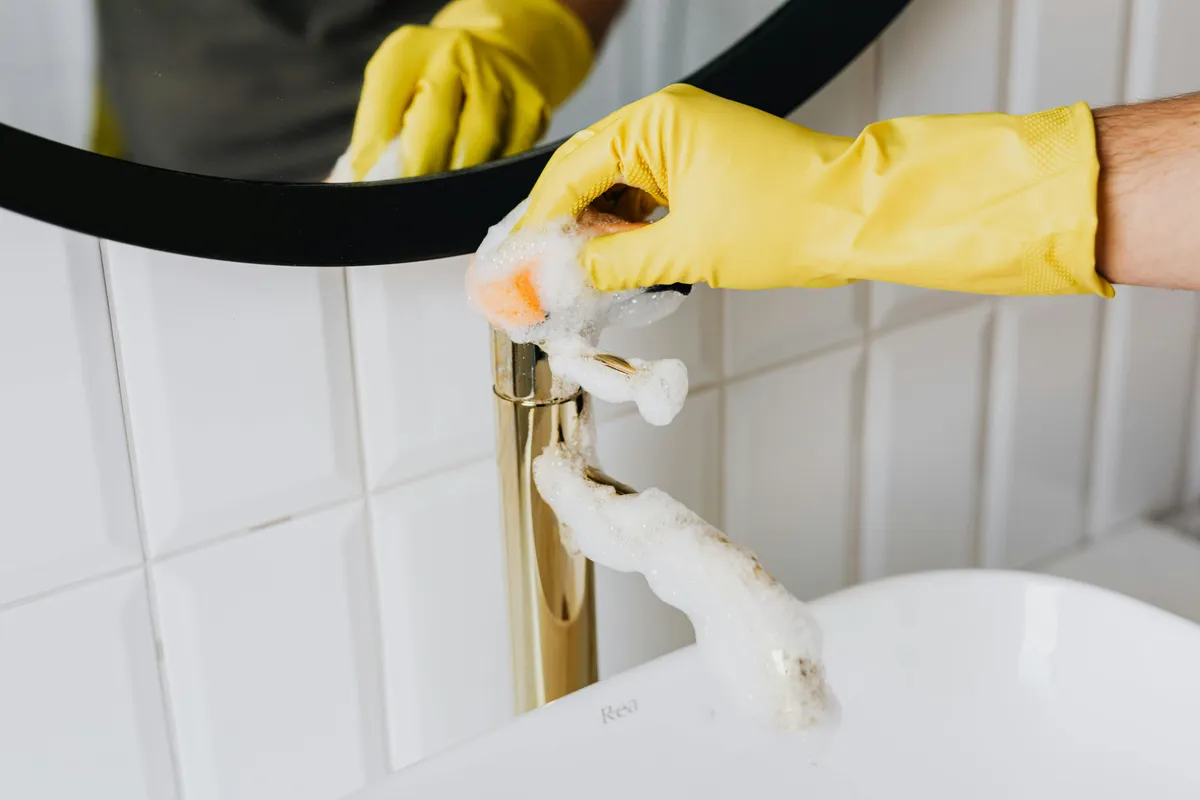 Dustlane — cleaning services
